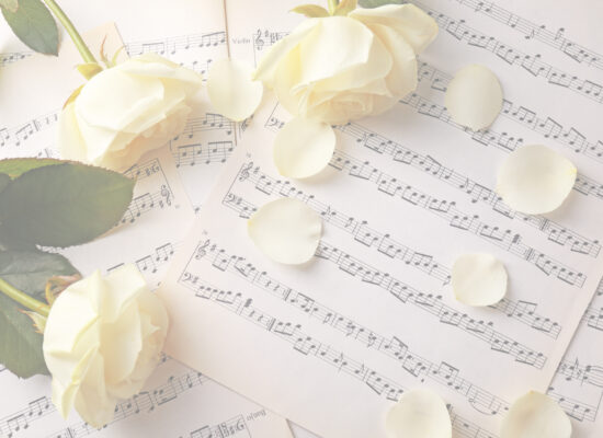 白い薔薇と楽譜